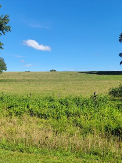 Indian Head Trailhead Parking - White Plains, MD