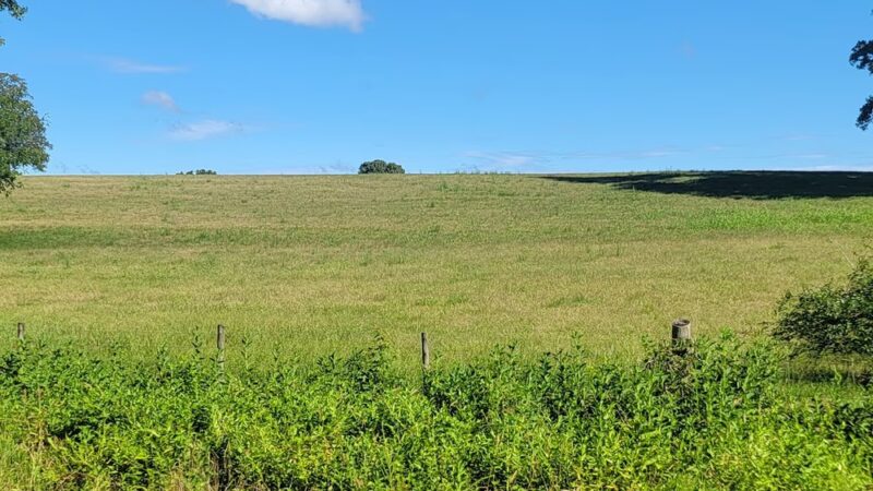Indian Head Trailhead Parking - White Plains, MD