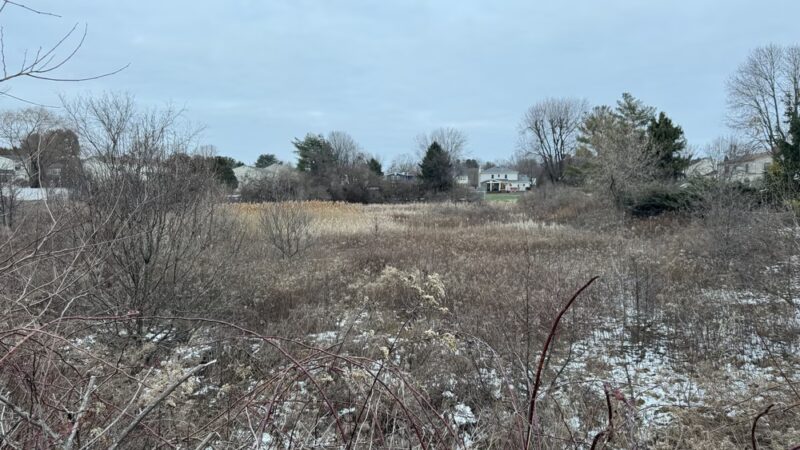 McCarthy Park - Whitemarsh Township, PA