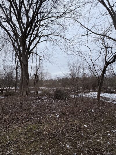 McCarthy Park - Whitemarsh Township, PA