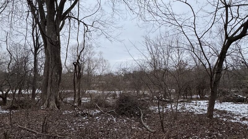 McCarthy Park - Whitemarsh Township, PA