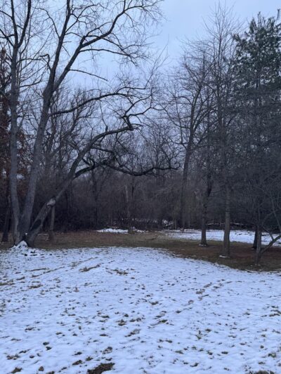 McCarthy Park - Whitemarsh Township, PA