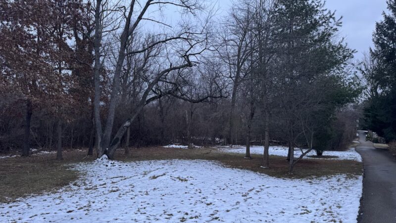 McCarthy Park - Whitemarsh Township, PA