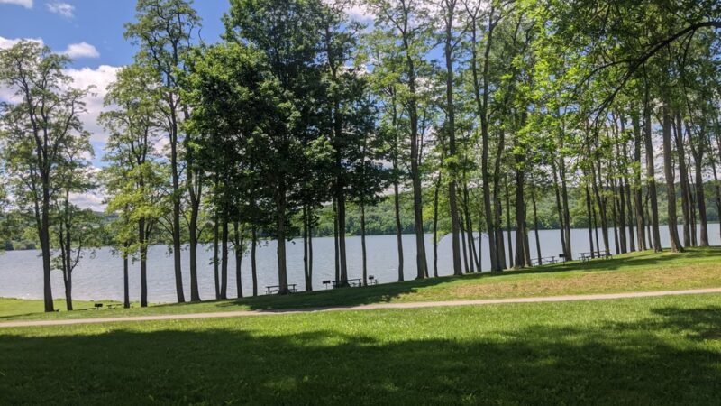 Dorchester Park - Whitney Point, NY