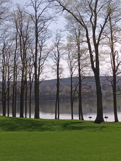 Whitney Point Multiple Use Area - Whitney Point, NY