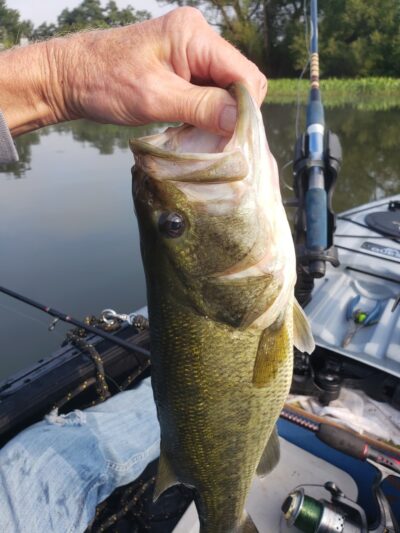 Whitney Point Reservoir - Whitney Point, NY