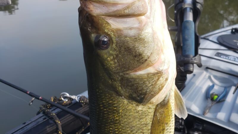 Whitney Point Reservoir - Whitney Point, NY