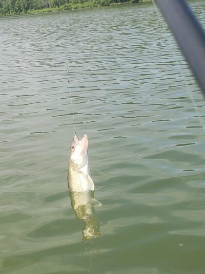 Whitney Point Reservoir - Whitney Point, NY