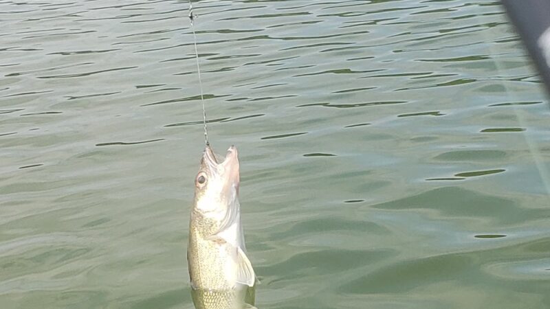 Whitney Point Reservoir - Whitney Point, NY