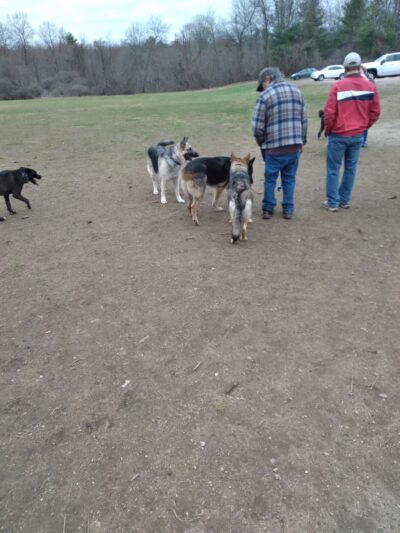 Fountain Park - Wilbraham, MA