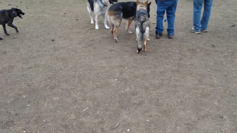 Fountain Park - Wilbraham, MA