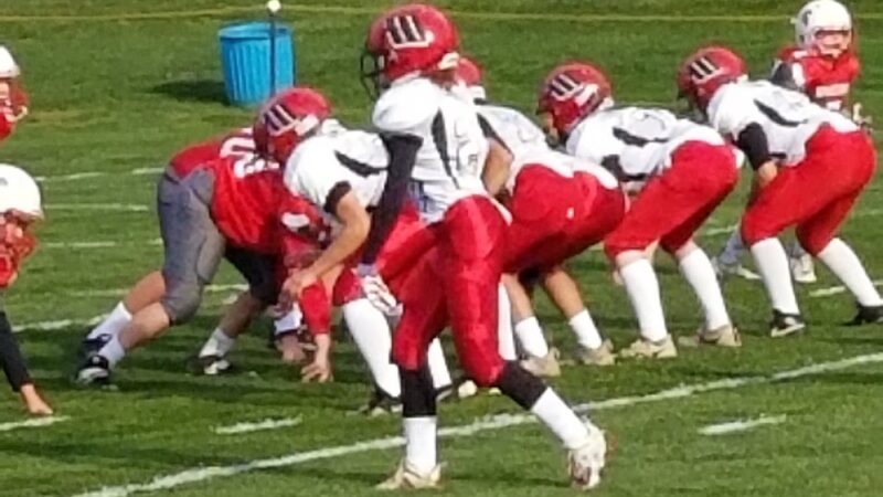 Spectacle Pond Recreation Area - Wilbraham, MA