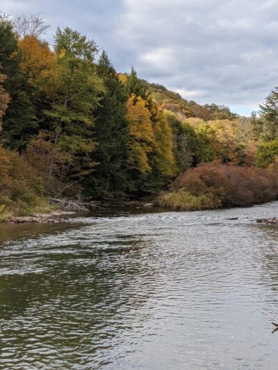 Bendigo State Park - Wilcox, PA