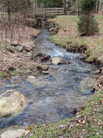 Bendigo State Park - Wilcox, PA