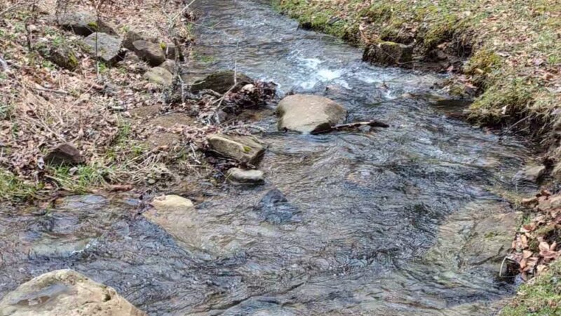 Bendigo State Park - Wilcox, PA