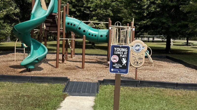 Bendigo State Park - Wilcox, PA