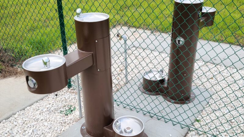 Lake Harlow Canine Park - Wildwood, FL
