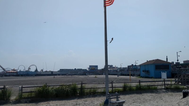 Wildwood Dog Park & Beach - Wildwood, NJ
