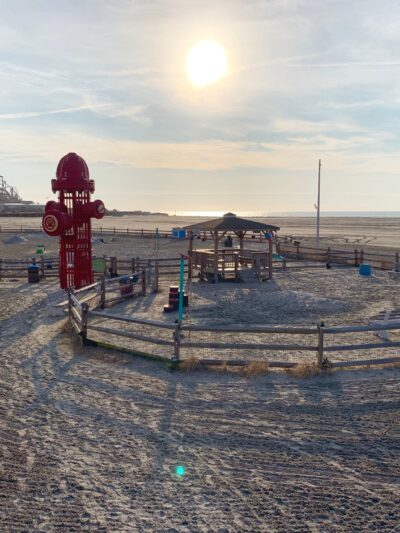 Wildwood Dog Park & Beach - Wildwood, NJ