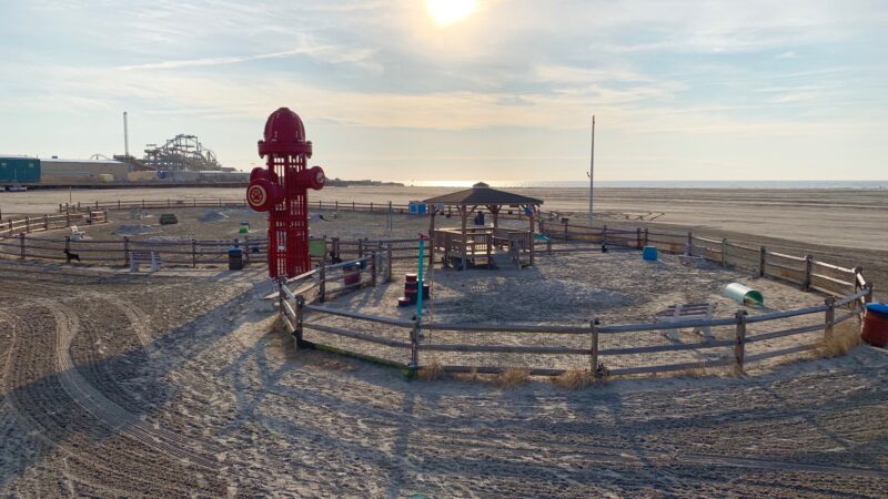 Wildwood Dog Park & Beach - Wildwood, NJ