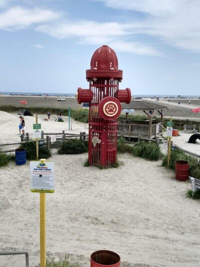 Wildwood Dog Park & Beach - Wildwood, NJ