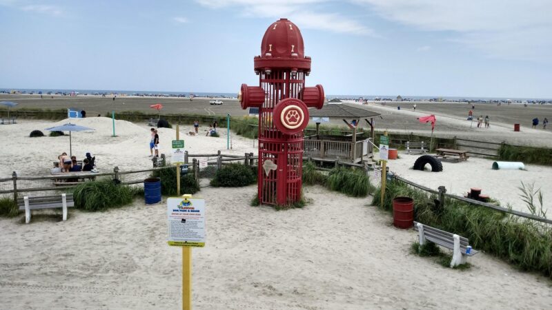 Wildwood Dog Park & Beach - Wildwood, NJ