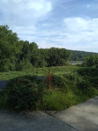 Barney Farms Park - Wilkes-Barre, PA