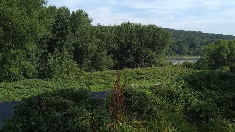 Barney Farms Park - Wilkes-Barre, PA