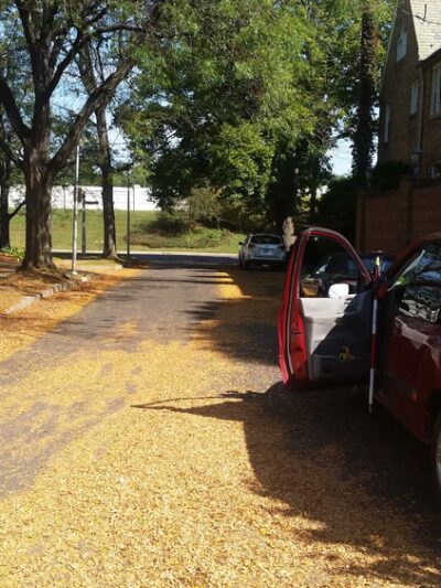 Charles St Park - Wilkes-Barre, PA