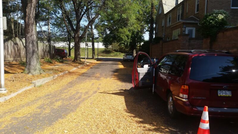 Charles St Park - Wilkes-Barre, PA