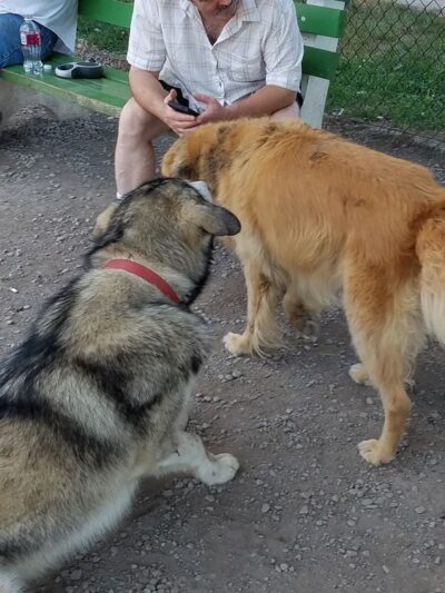 Hollenback Park - Wilkes-Barre, PA