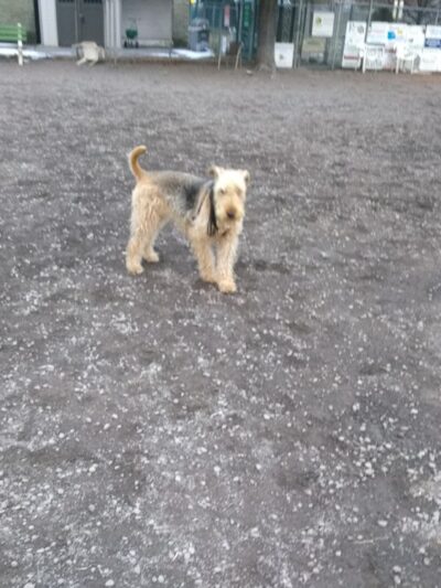 Hollenback Park - Wilkes-Barre, PA