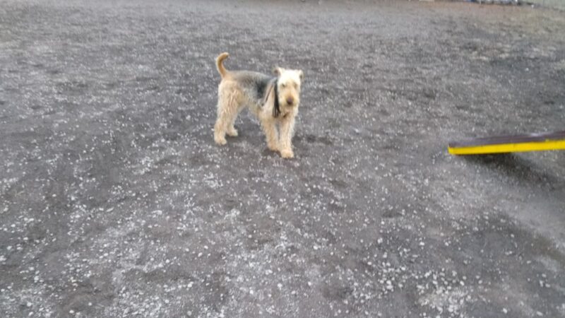 Hollenback Park - Wilkes-Barre, PA