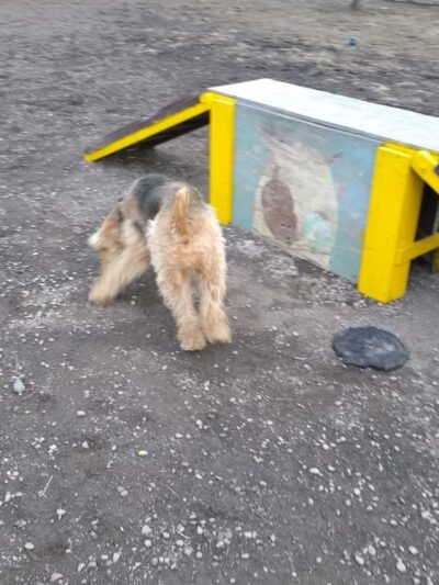 Hollenback Park - Wilkes-Barre, PA