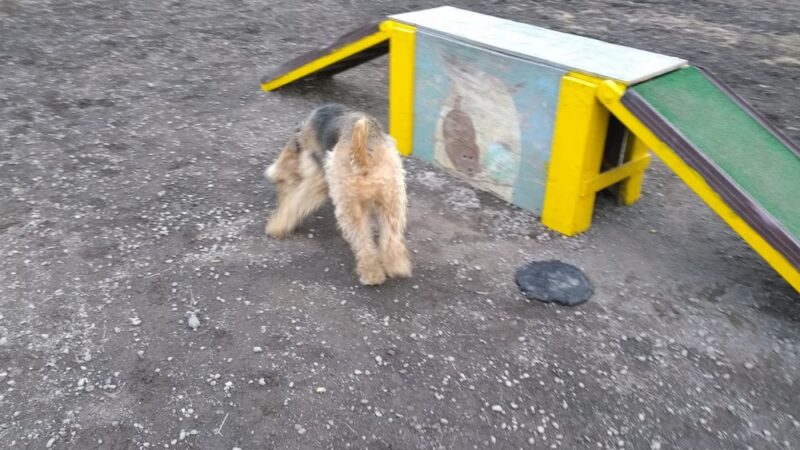 Hollenback Park - Wilkes-Barre, PA