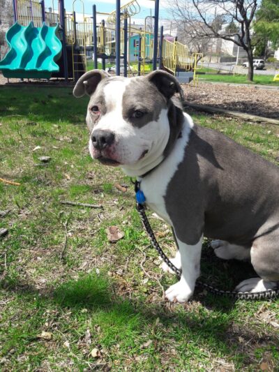 Huber Park - Wilkes-Barre, PA