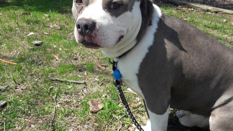 Huber Park - Wilkes-Barre, PA