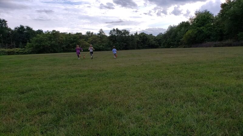 Scouton Lee Park - Wilkes-Barre, PA