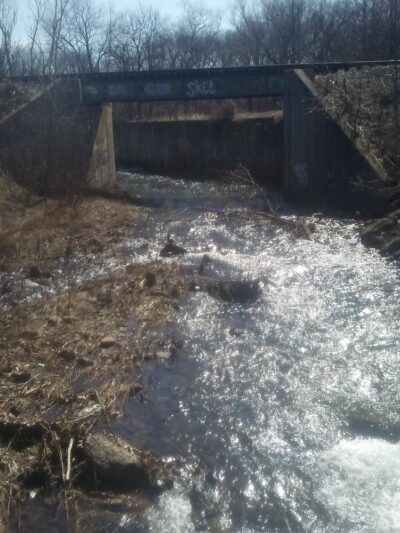 Scouton Lee Park - Wilkes-Barre, PA