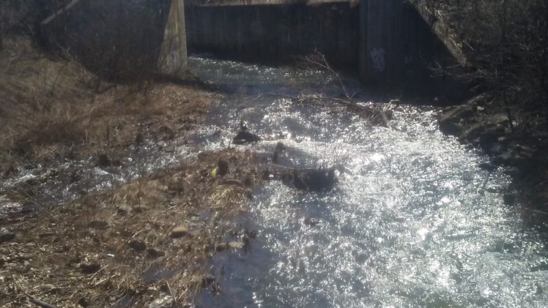 Scouton Lee Park - Wilkes-Barre, PA