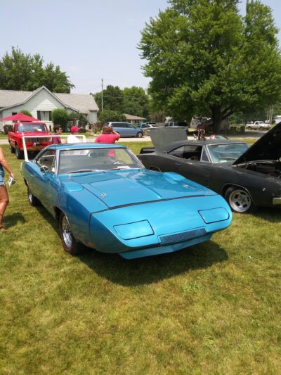 Weir Cook Community Park - Wilkinson, IN