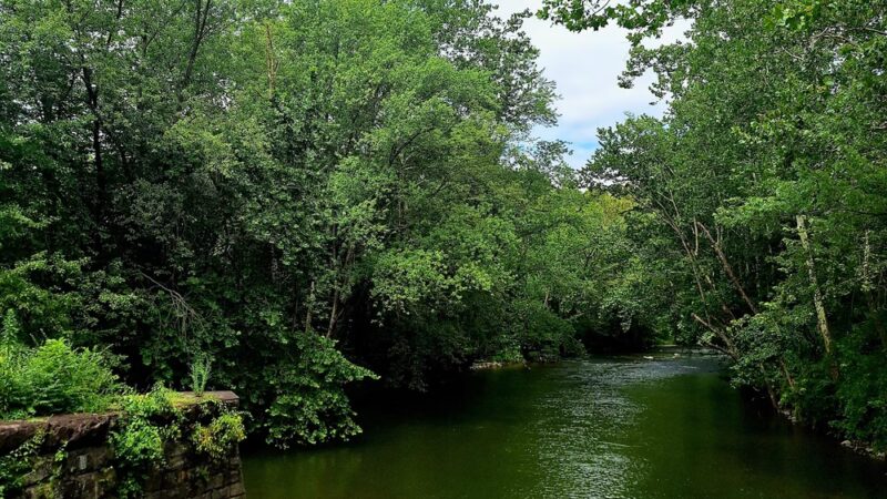 Rails To Trails Inc - Williamsburg, PA