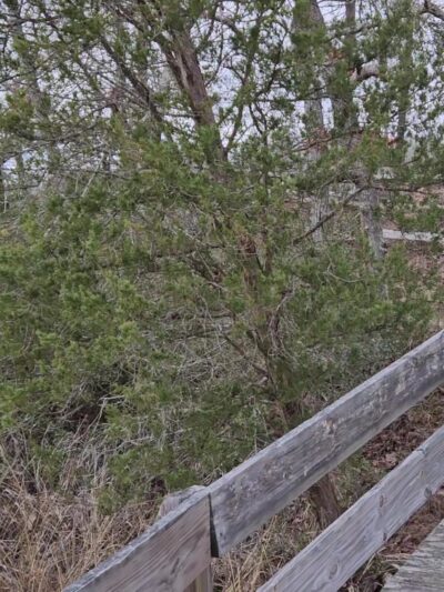 York River State Park - Williamsburg, VA