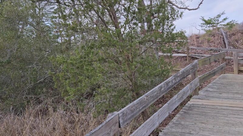York River State Park - Williamsburg, VA