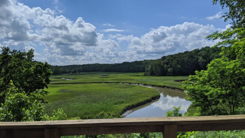 York River State Park - Williamsburg, VA