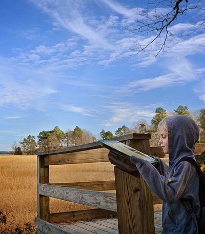 York River State Park - Williamsburg, VA