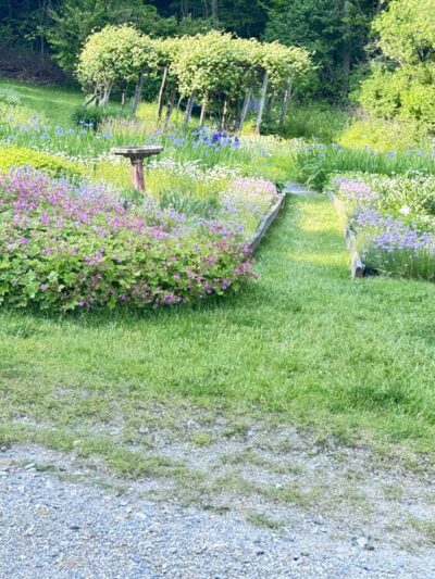 Hopkins Memorial Forest - Williamstown, MA