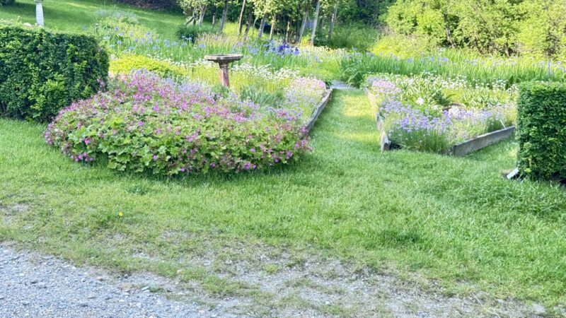 Hopkins Memorial Forest - Williamstown, MA