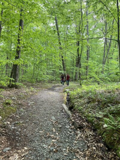 Hopkins Memorial Forest - Williamstown, MA