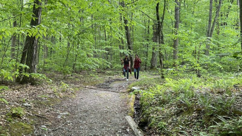 Hopkins Memorial Forest - Williamstown, MA